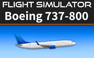 Flight Simulator 737-800